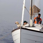 Sail in Egypt