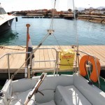 Cockpit: tiller, life buoy, life link
